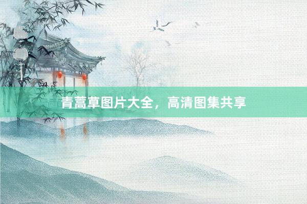 青蒿草图片大全，高清图集共享