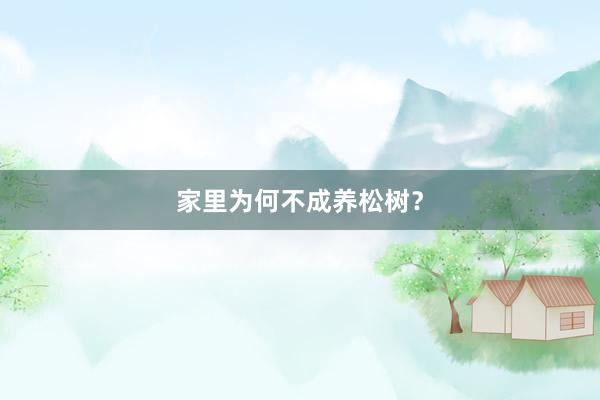 家里为何不成养松树？