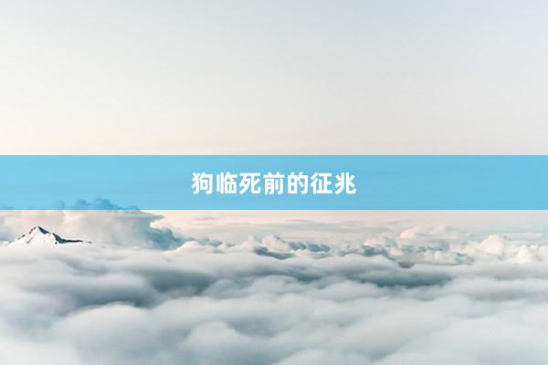 狗临死前的征兆