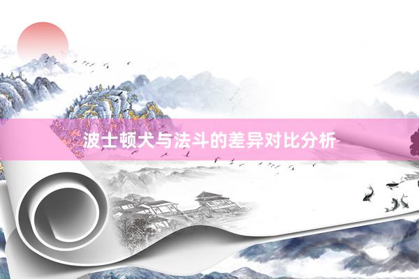 波士顿犬与法斗的差异对比分析