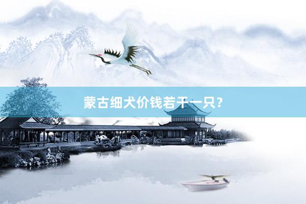 蒙古细犬价钱若干一只?