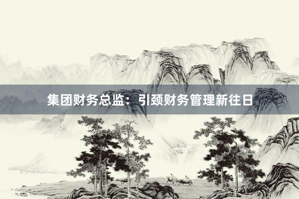 集团财务总监:引颈财务管理新往日